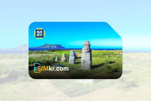 Jeju eSIM