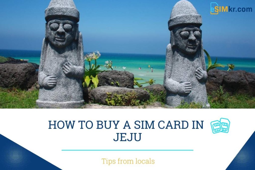 sim card in jeju